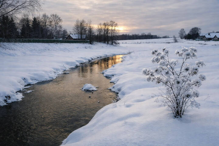 Как зима лопух красивым сделала