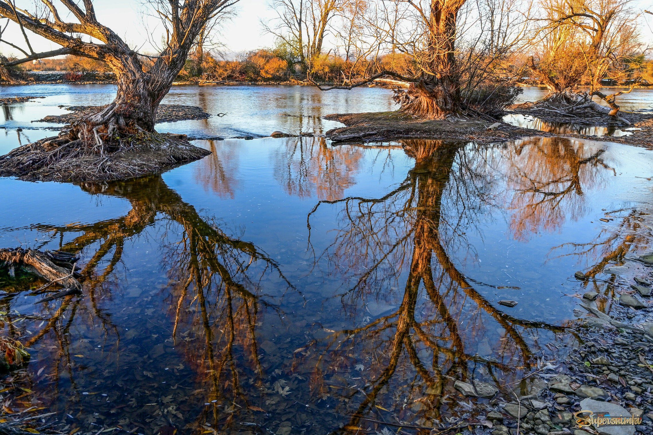 Старые знакомые