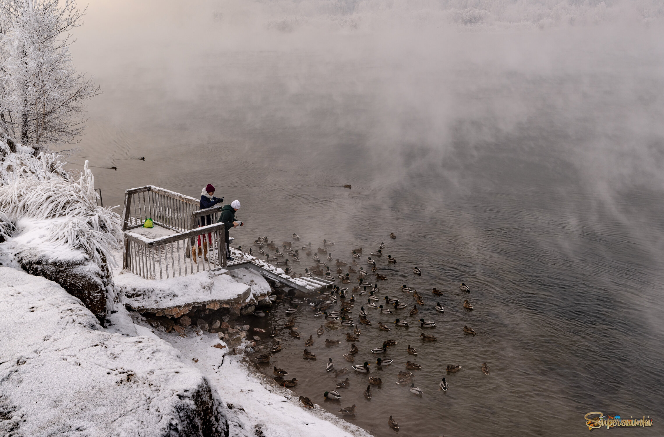 "Не нужен нам берег турецкий" в исполнении хора уток.