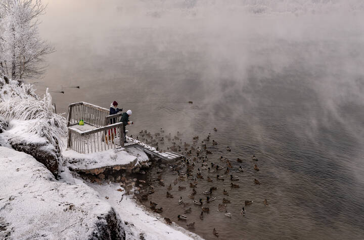 "Не нужен нам берег турецкий" в исполнении хора уток.