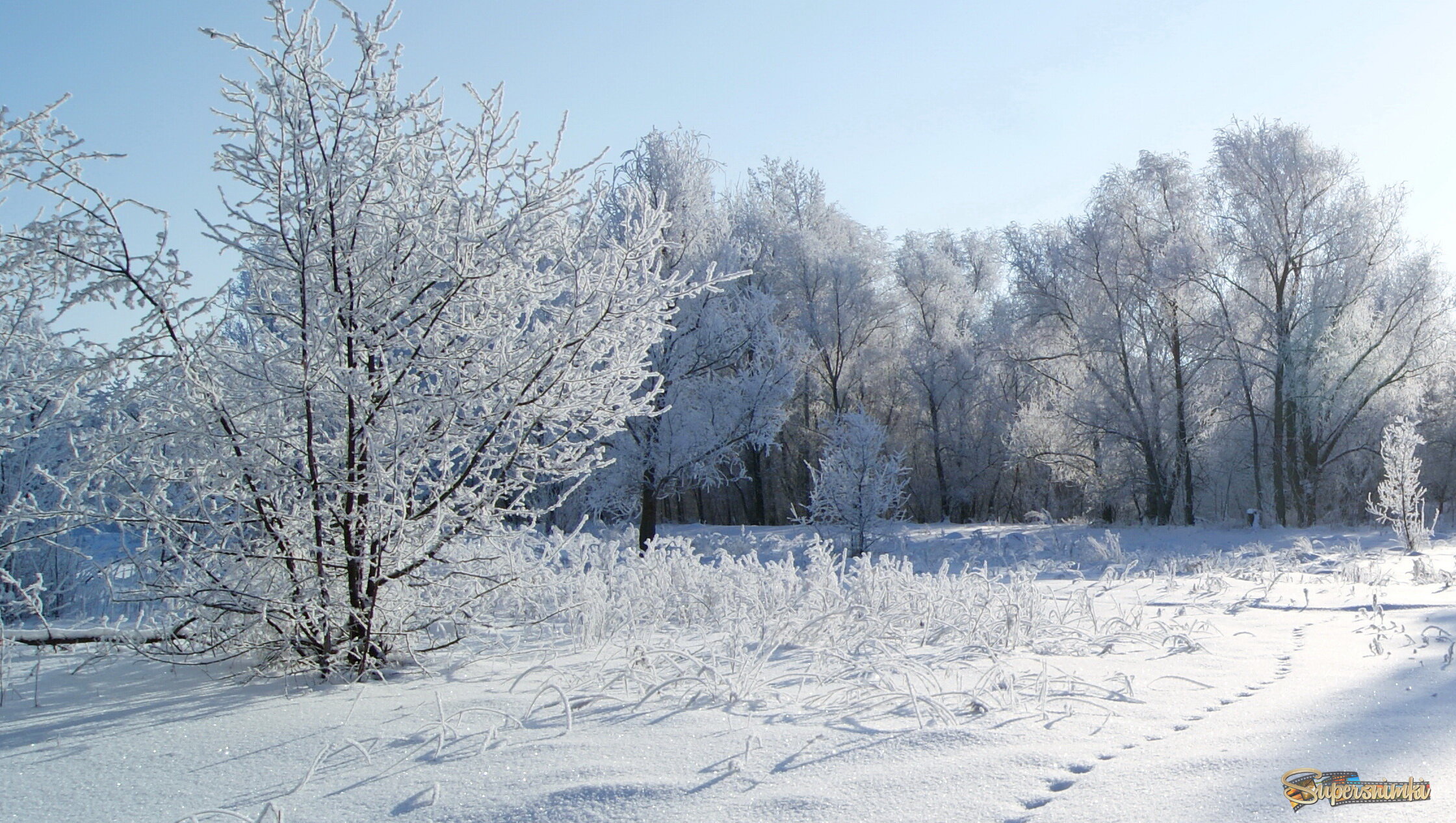 Ясным днем декабря.