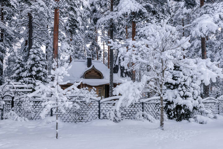 Зима в Сосново