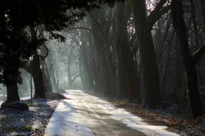 А утром выпал снег
