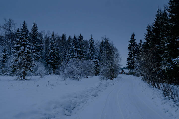 Новогоднее настроение (исправленный исходник)