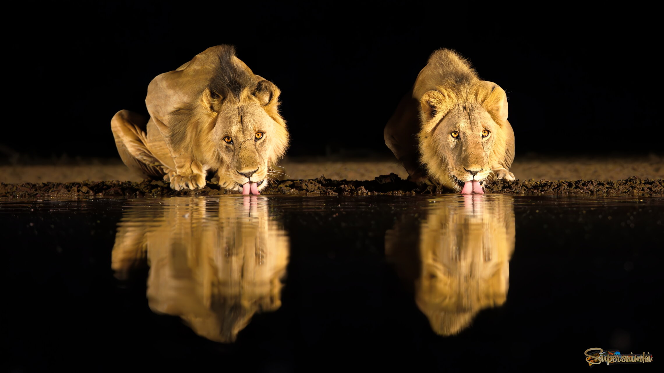 Ночная выпивка