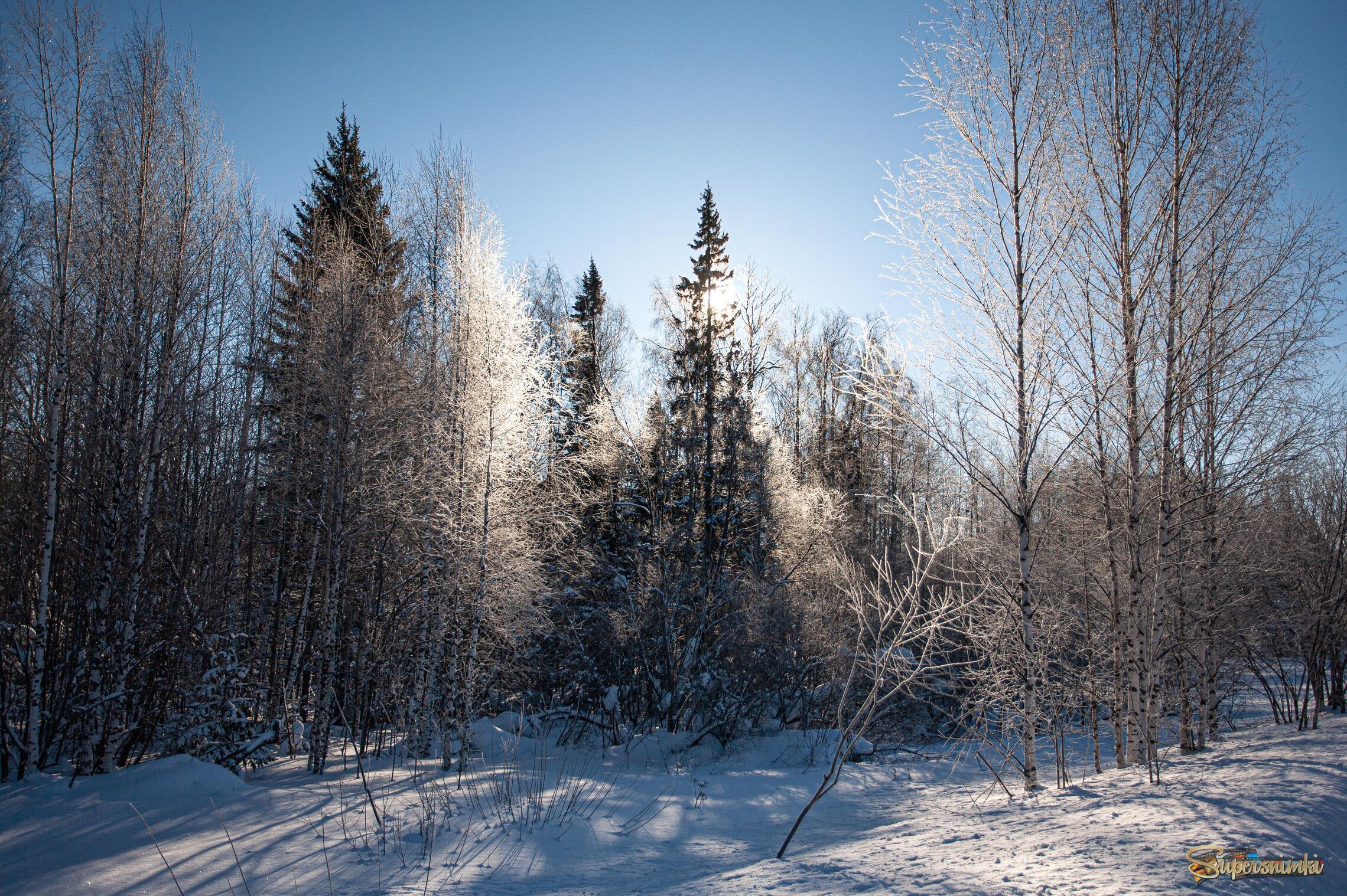 Зимнее настроение