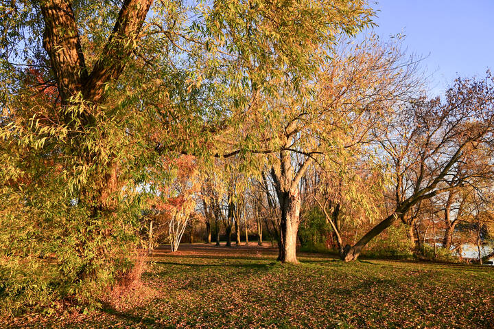 С ветром и без