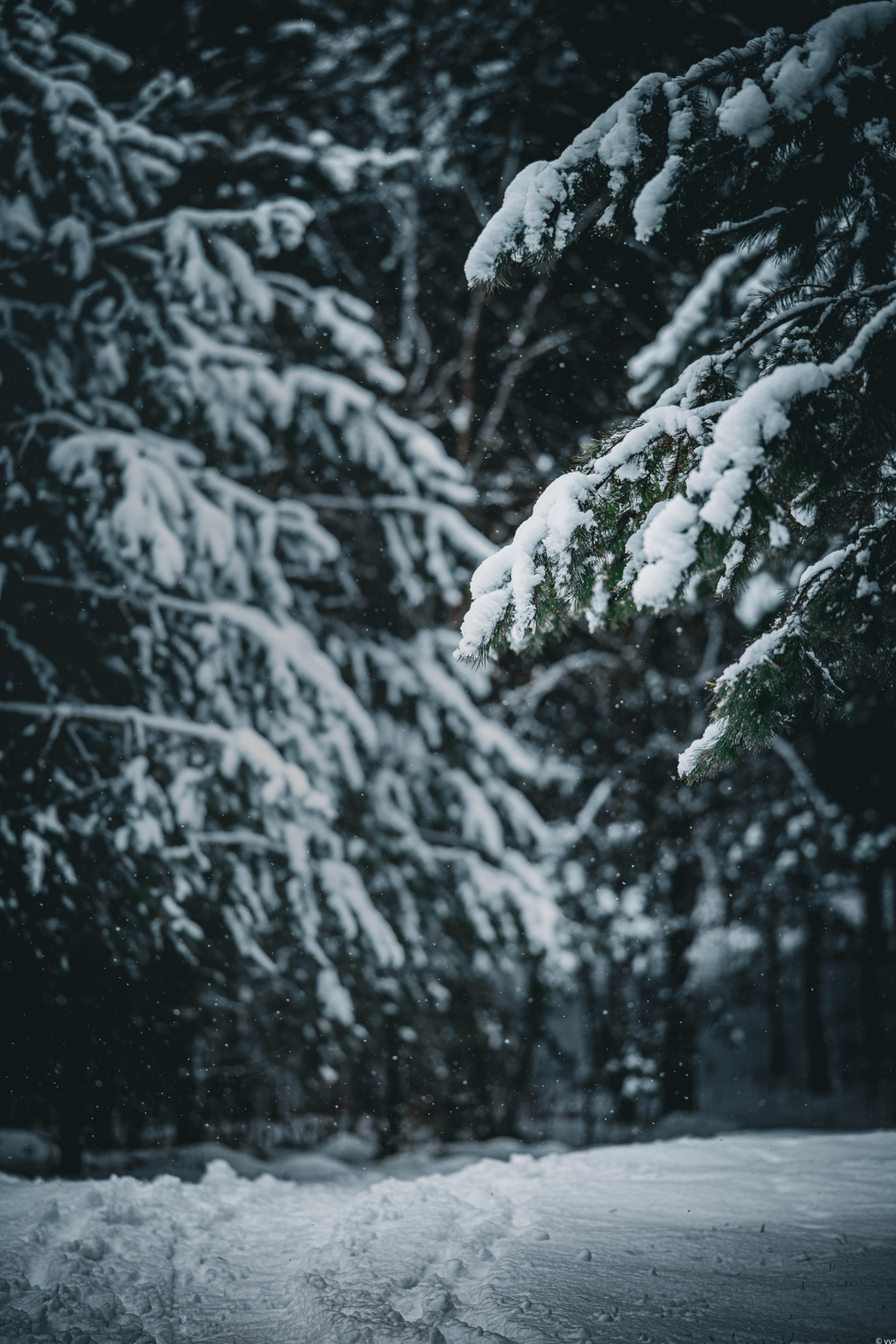 Там, на неведомых дорожках ...