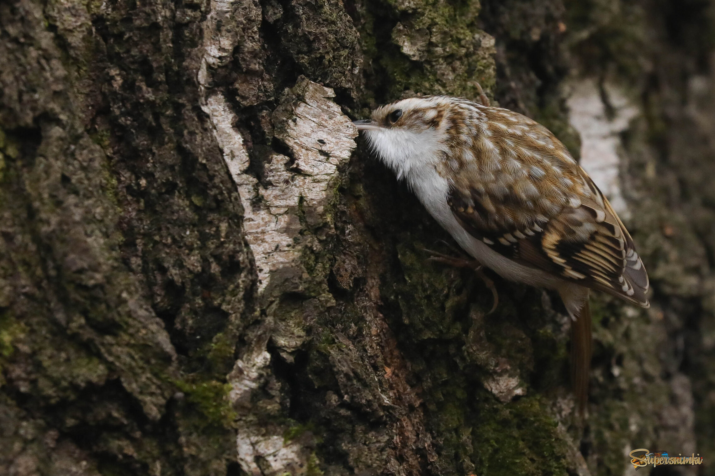 Всё равно я тебя достану!