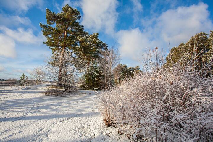 Красавица Зима