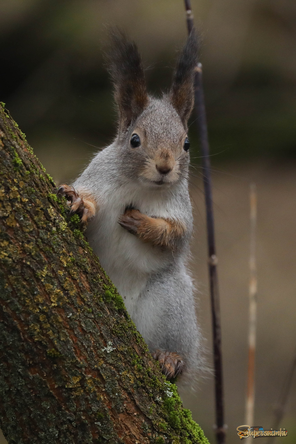 Вы меня до сердечного приступа доведёте!