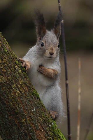 Вы меня до сердечного приступа доведёте!