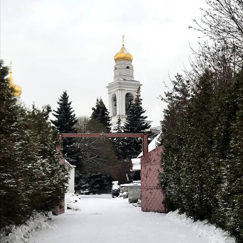 Старое Симоново. Храм Рождества Пресвятой Богородицы