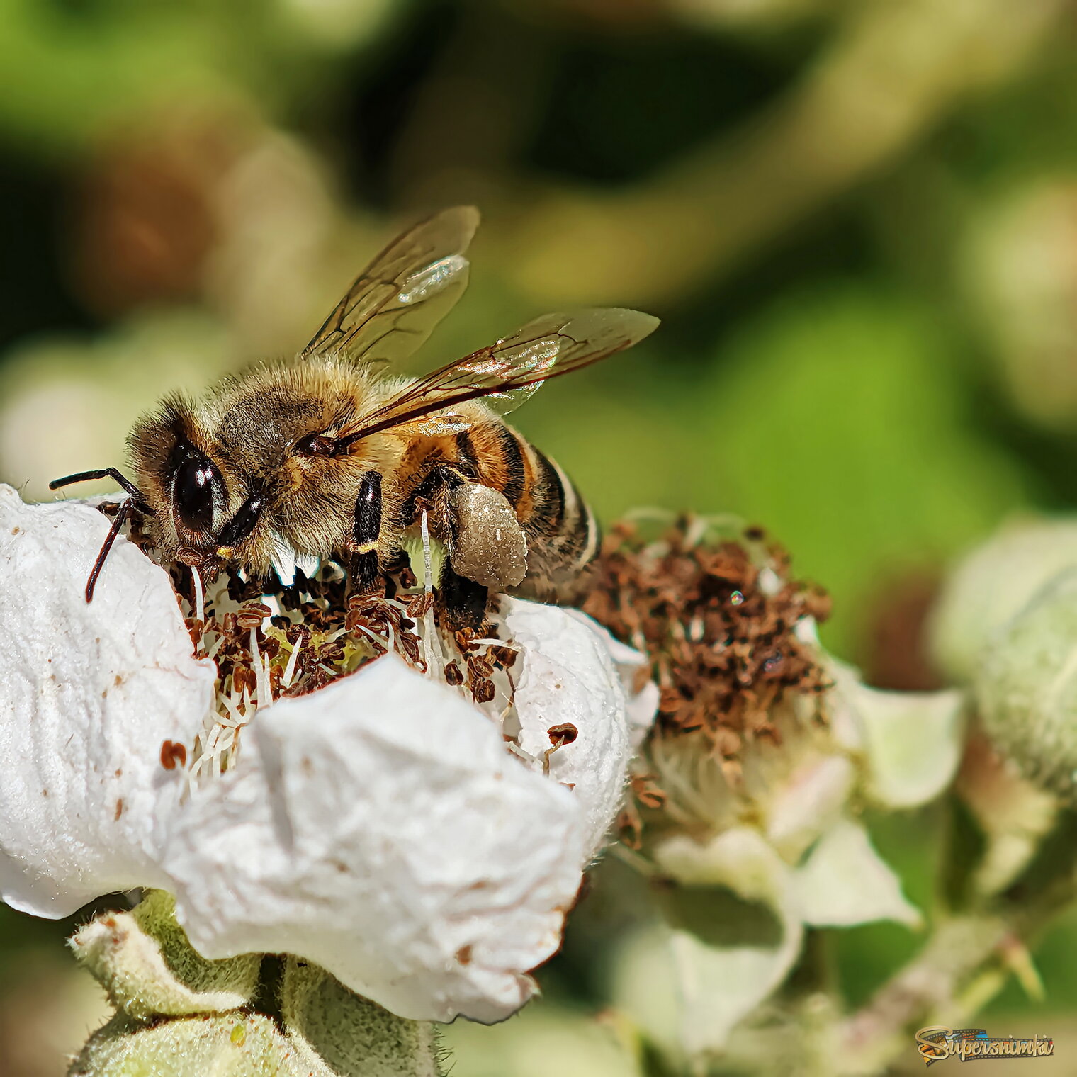 69564799f5525ad893011cad