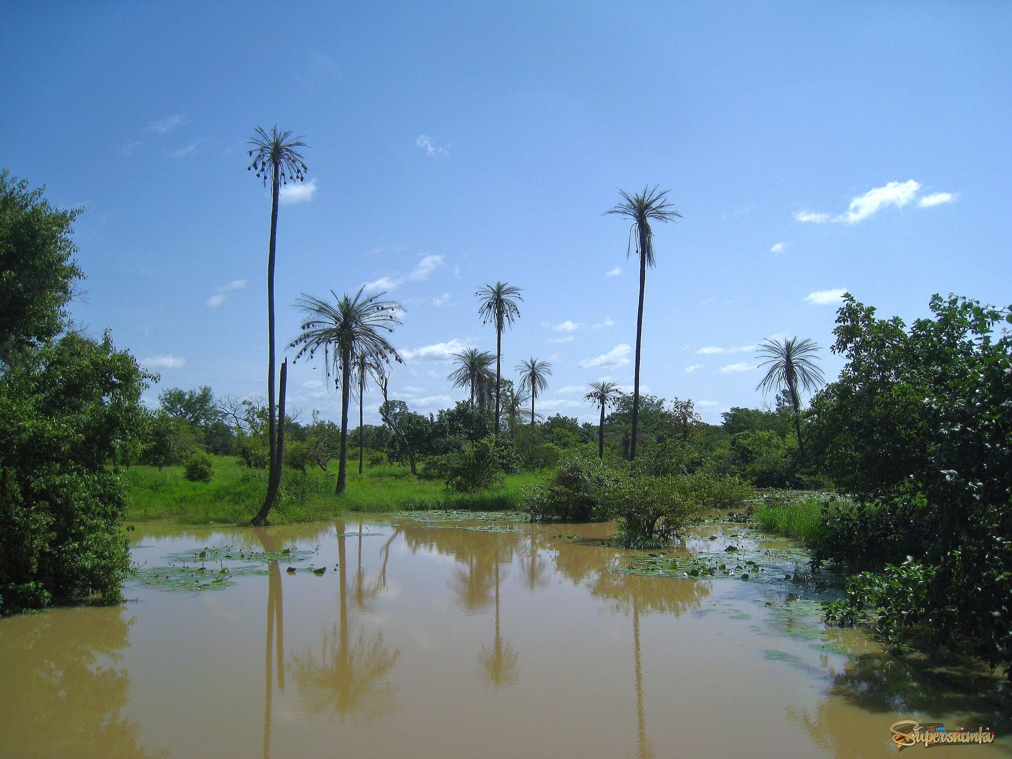 Кусочек Буркина-Фасо.