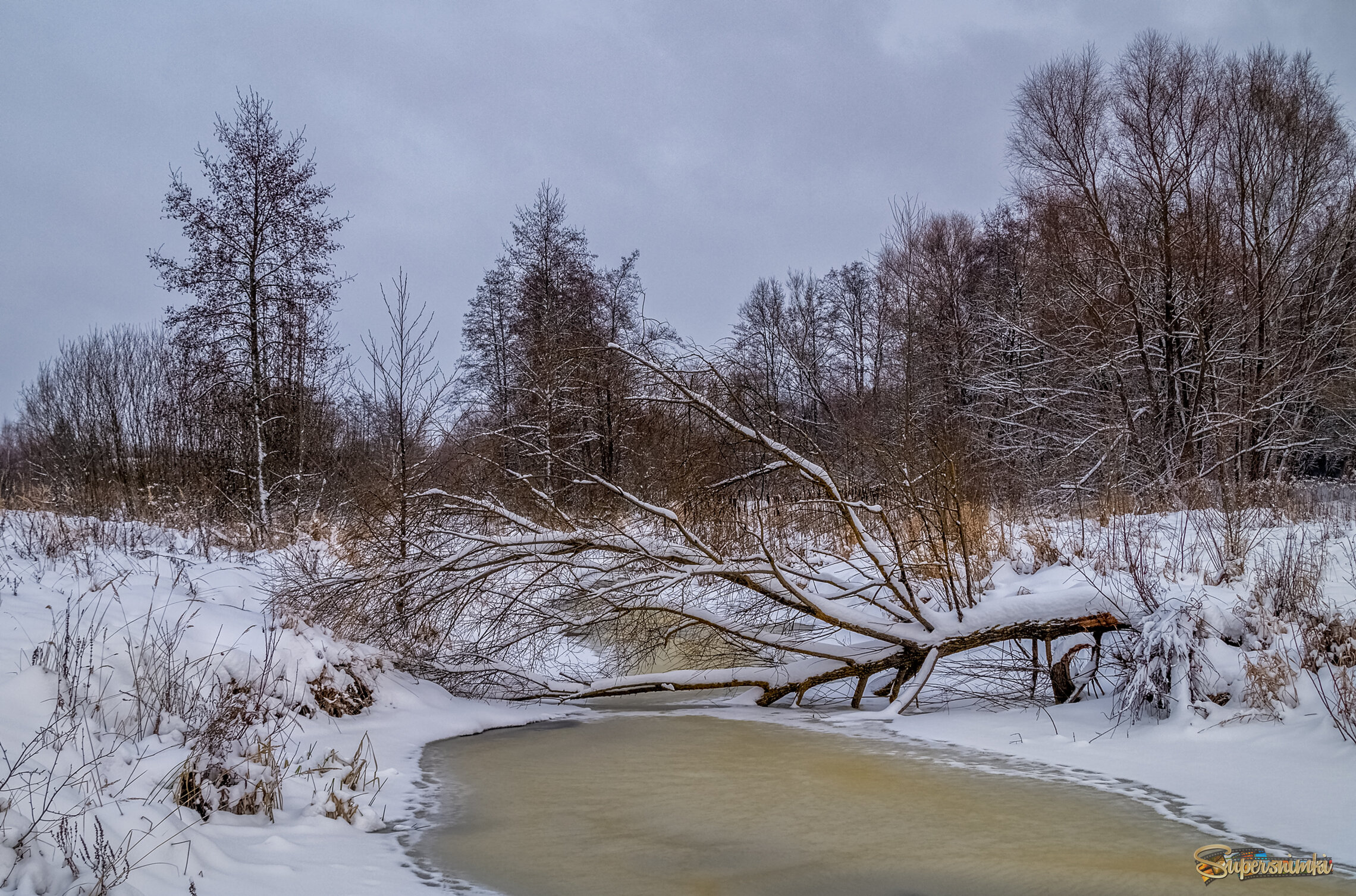 Перед новым годом 3 