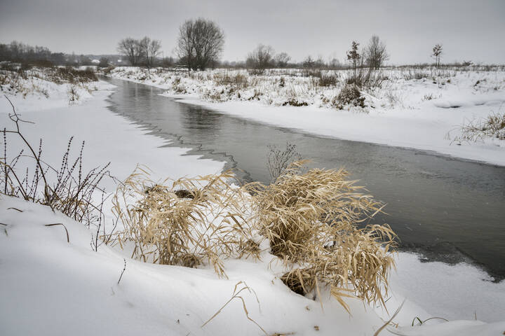 И снег, и ветер, и мороз: второй день года