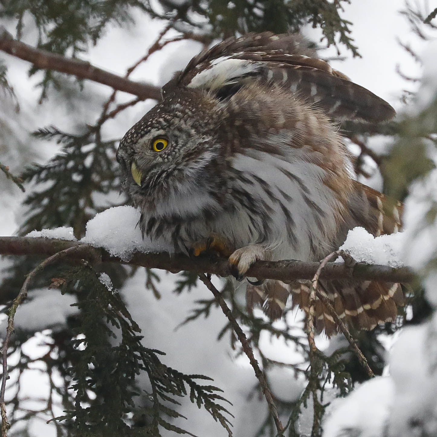 Упражнения на туе