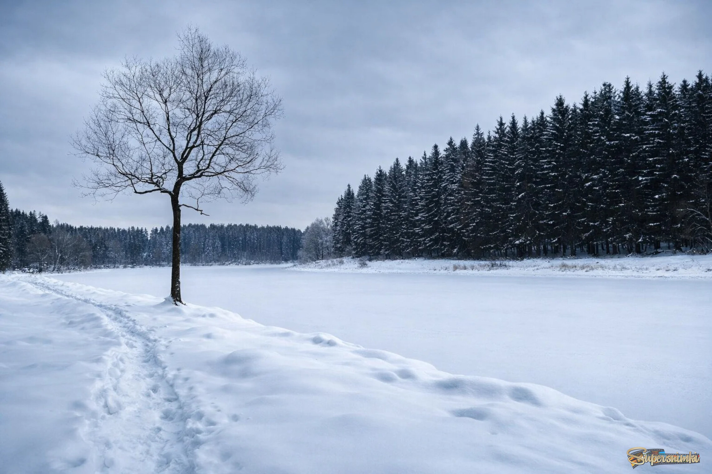 Неяркая зима