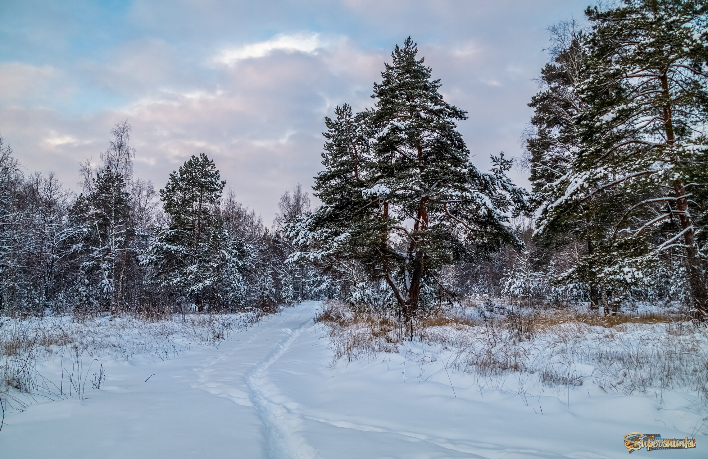 Первые дни нового года 