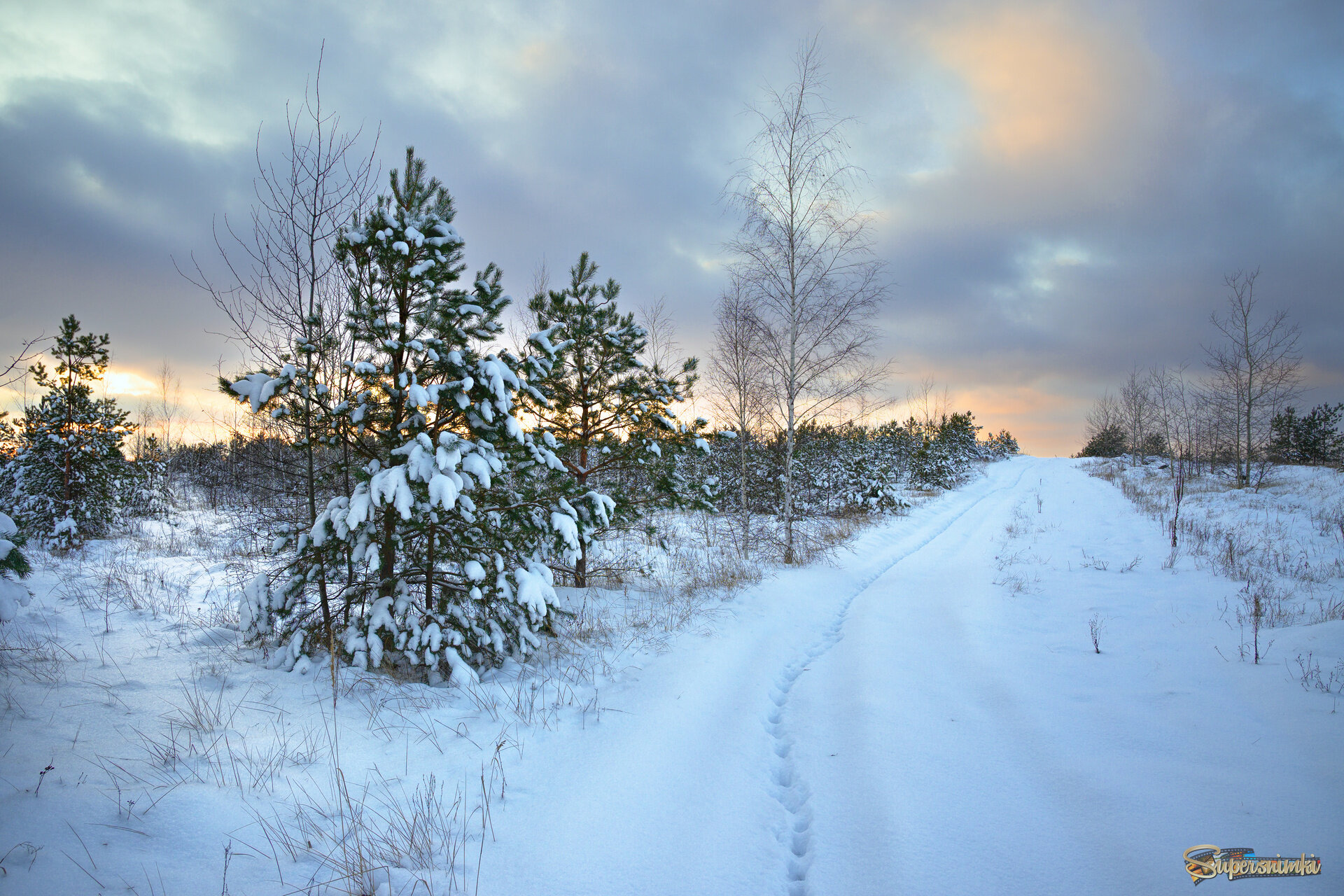 Там на заснеженных дорожках, следы... 