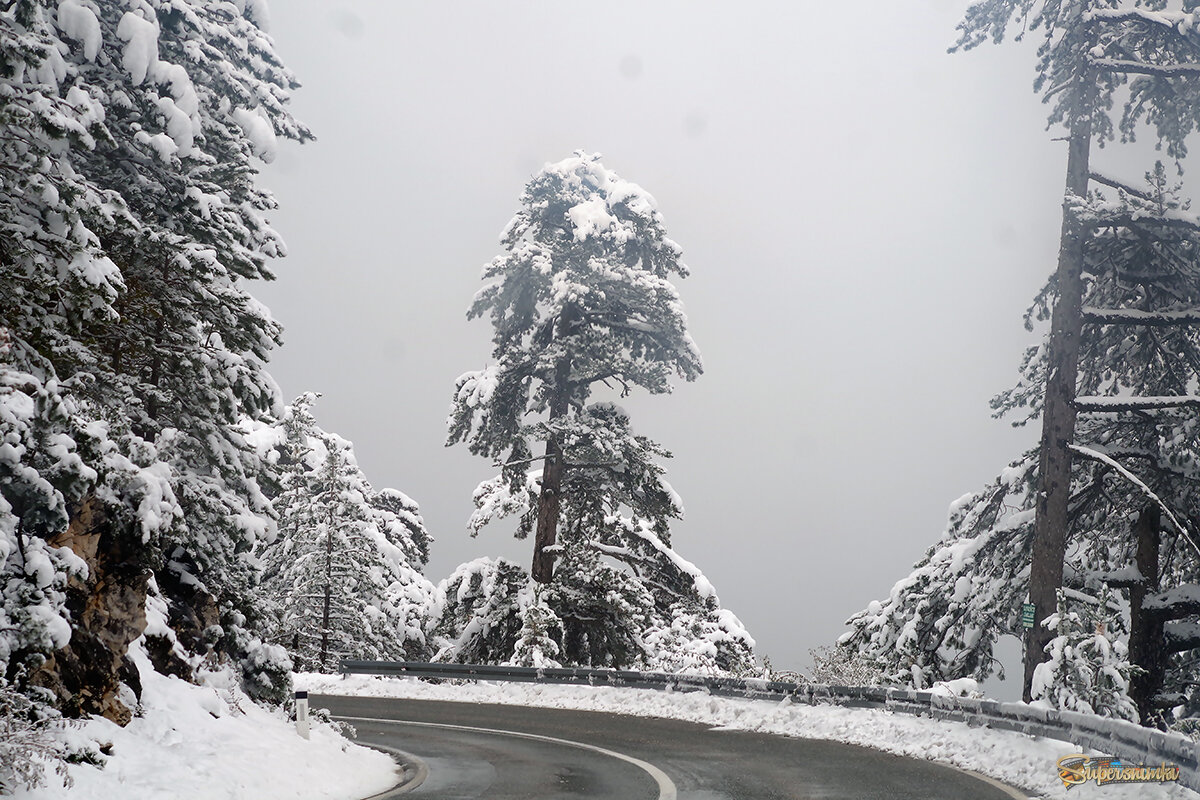 Черногория 2025 г.