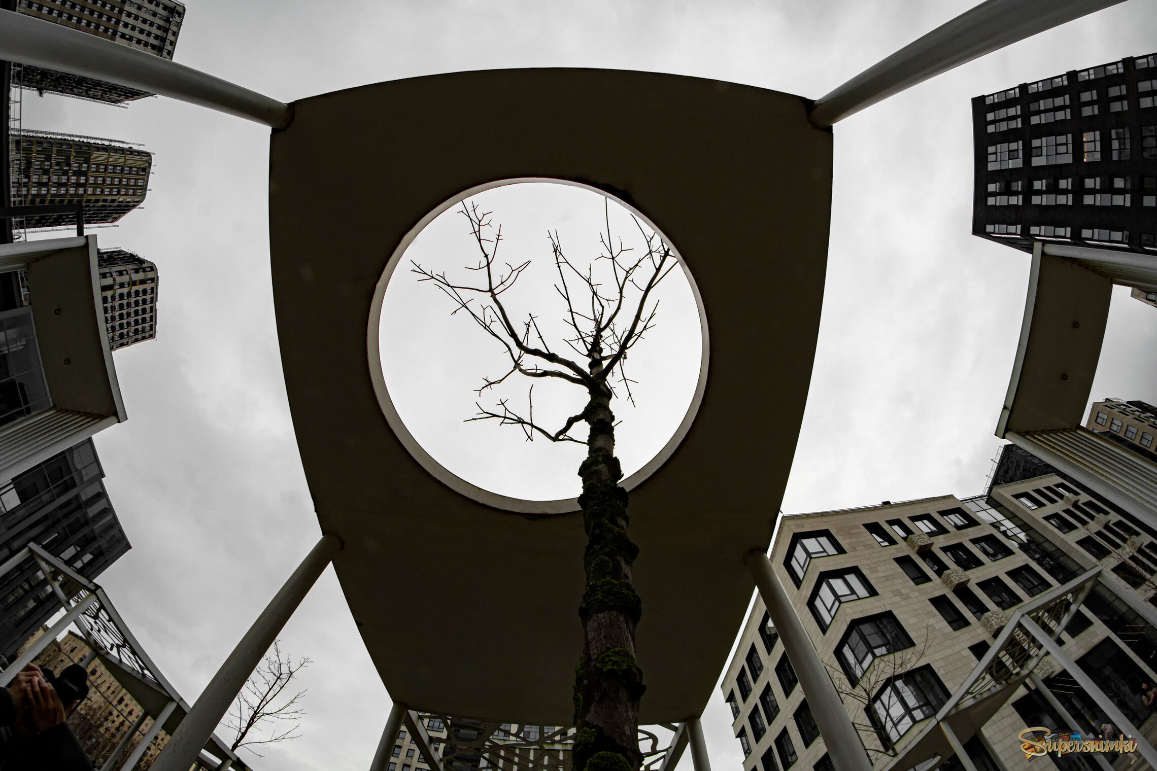 6958e507e0fcd3a838011ca9