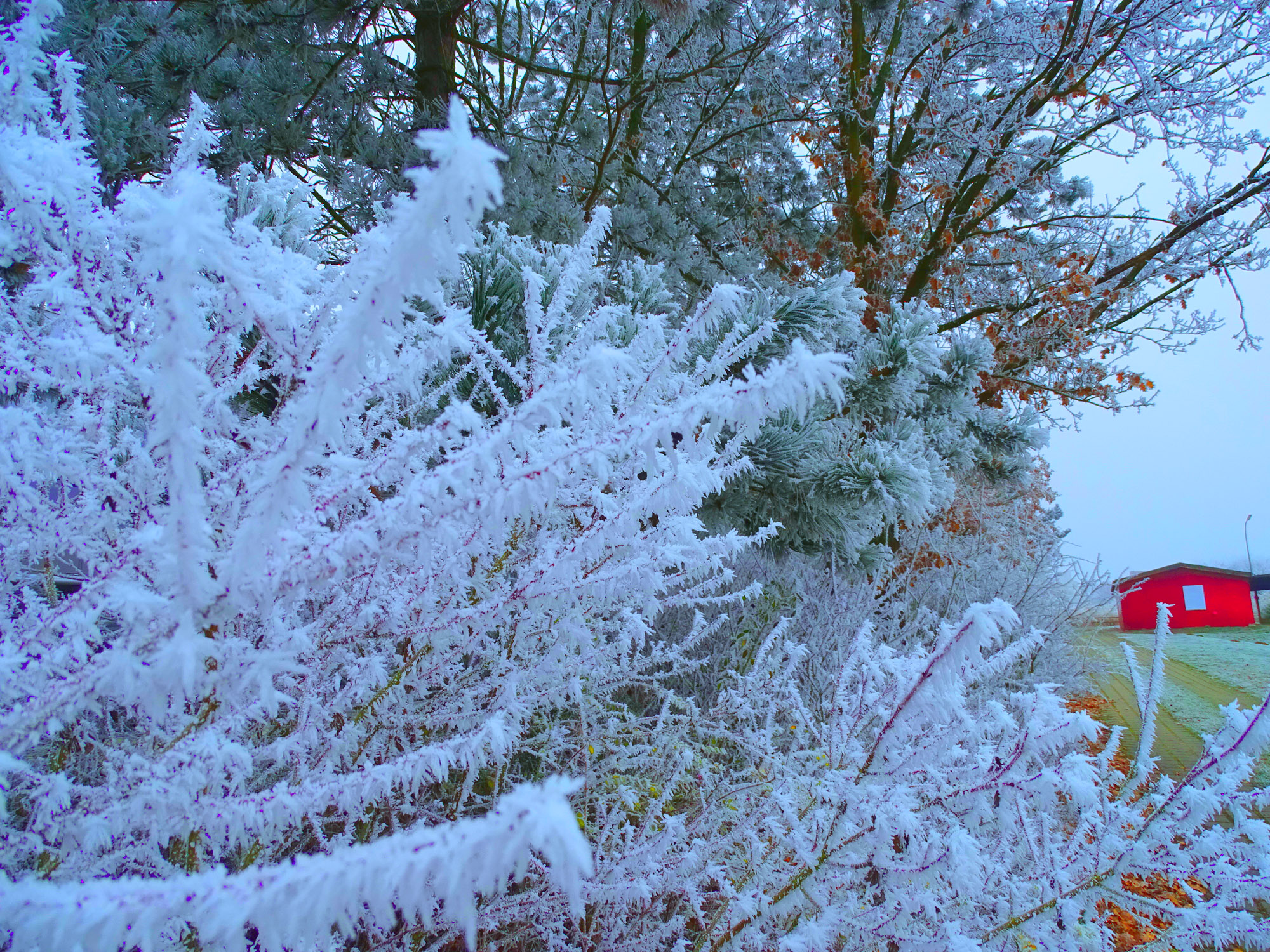 Мороз и ветер.