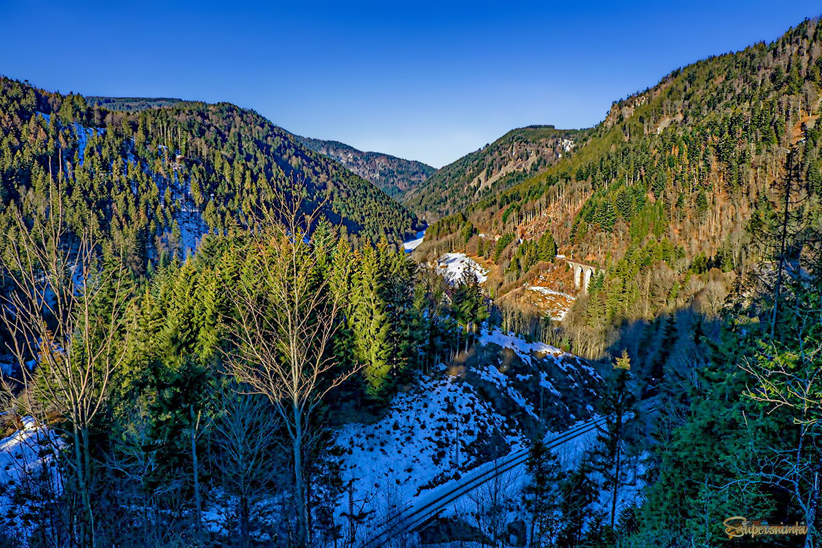 Шварц вальд / Черный лес/ 
