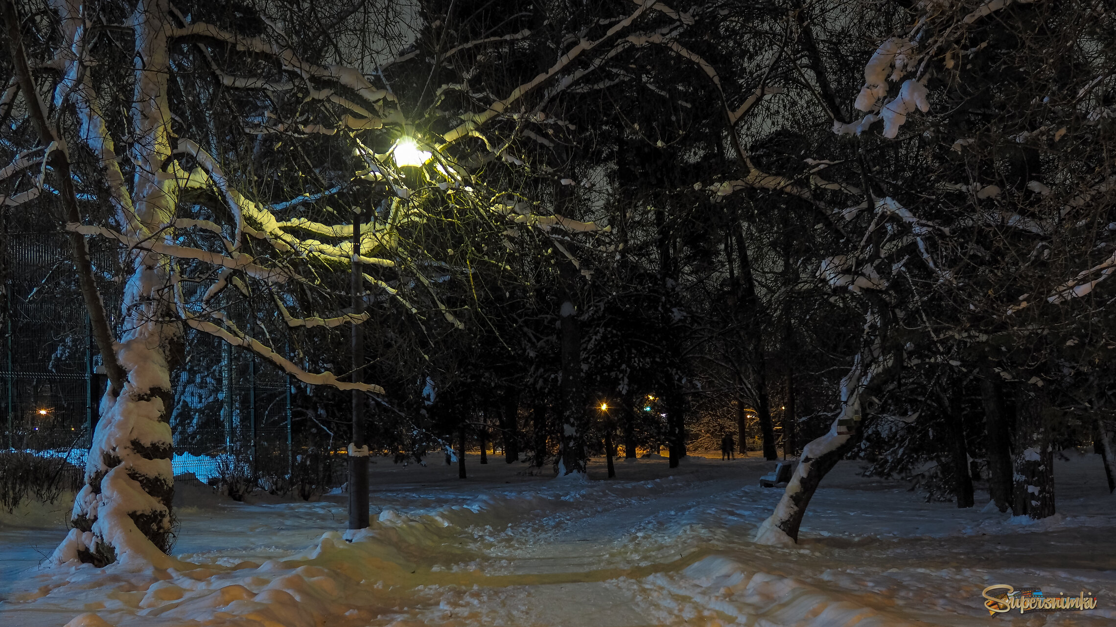 Зимний Вечер в Парке