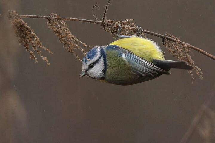 Кушать хочется в любую погоду!