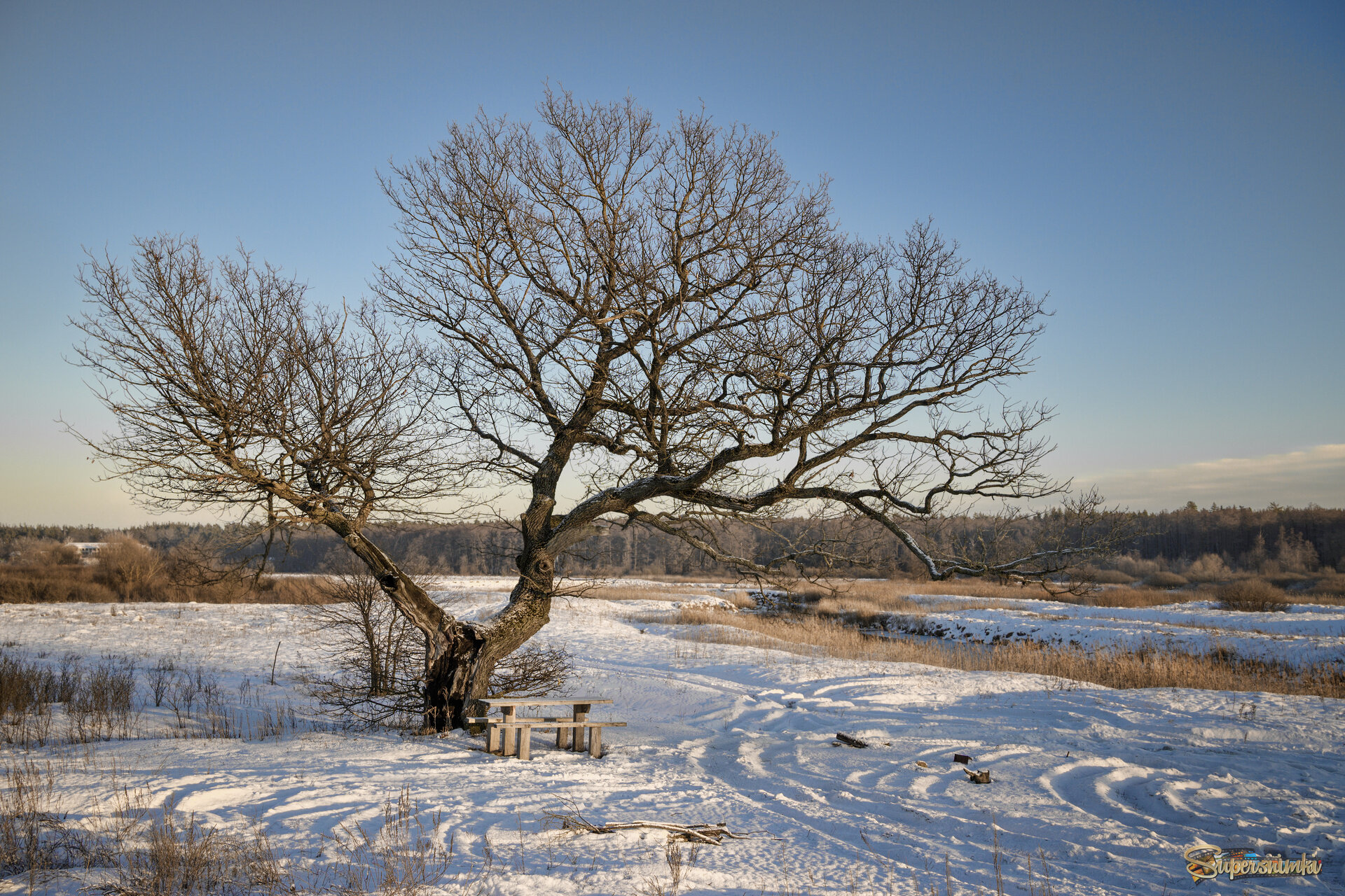 Место отдыха на отдыхе