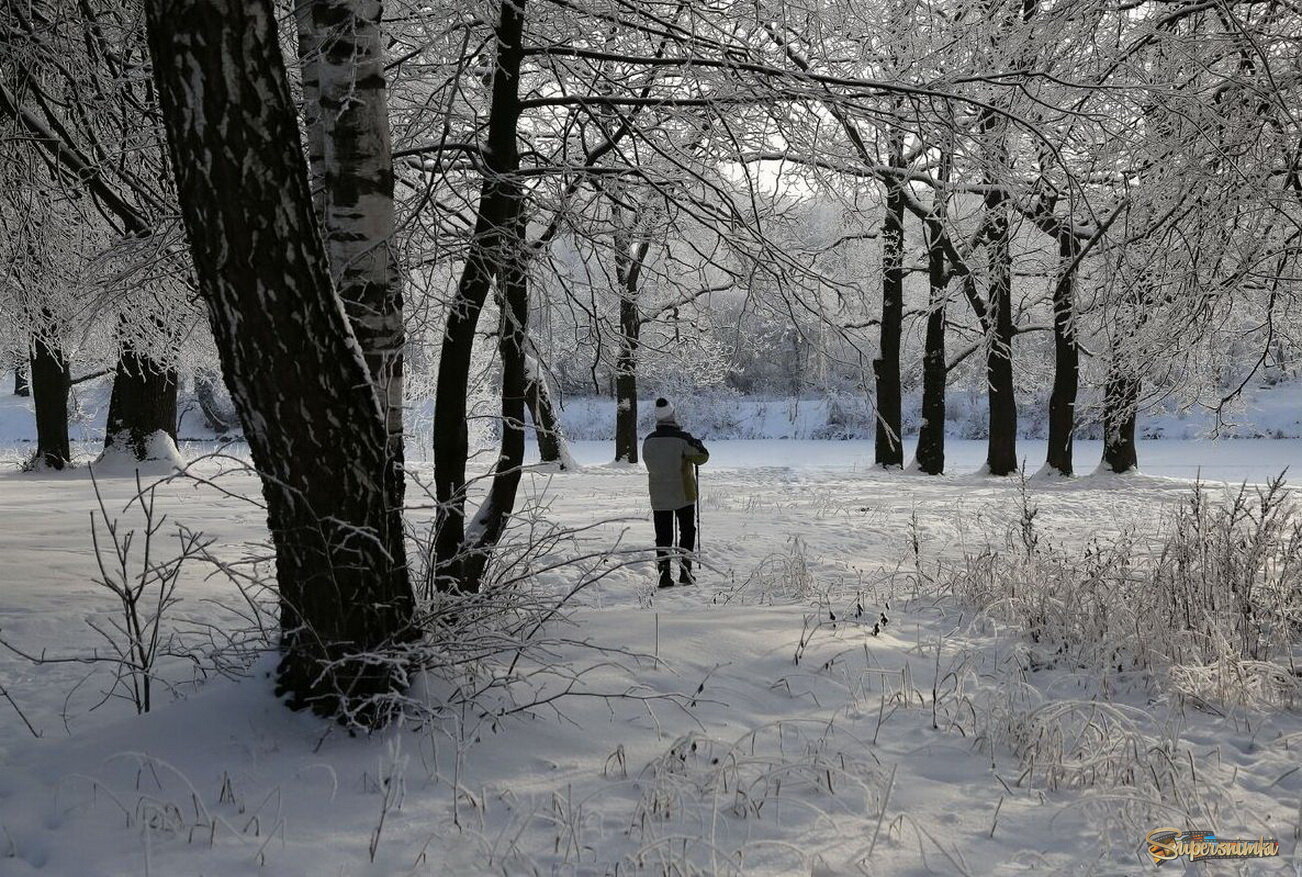 Пошли, погуляем!