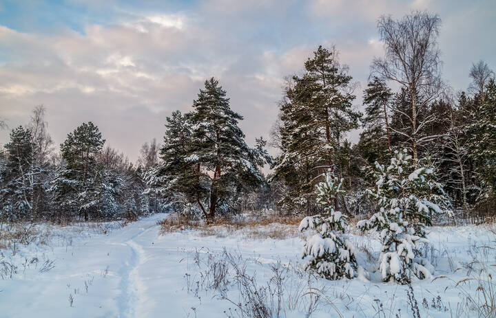 Первые дни нового года 2 