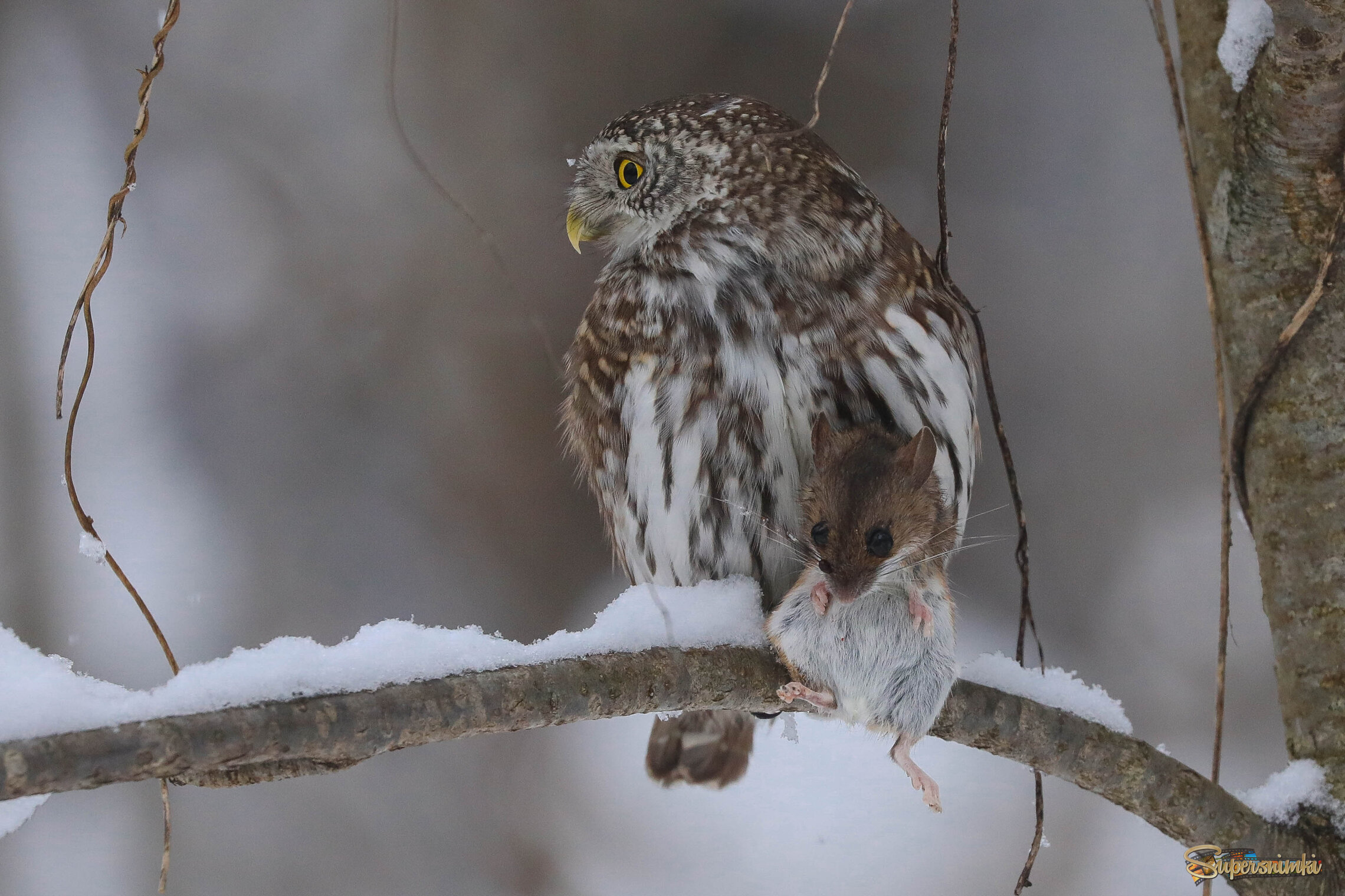 Смерть бывает разной