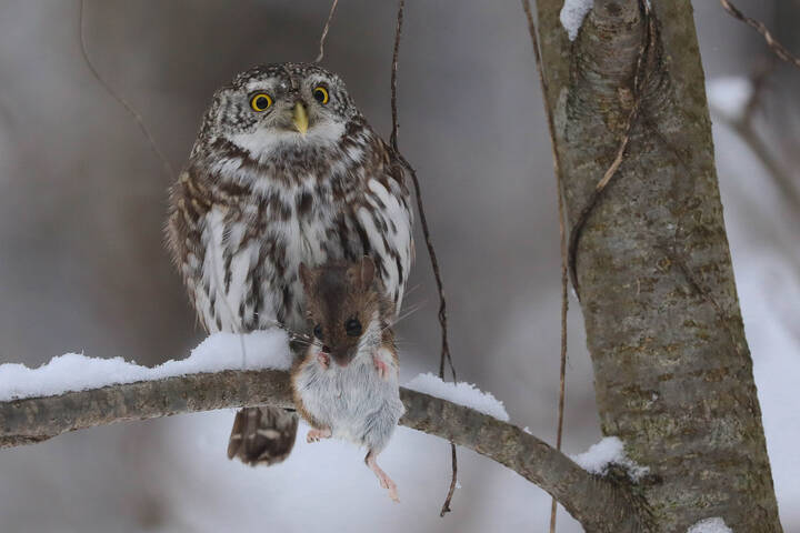 Смерть бывает разной