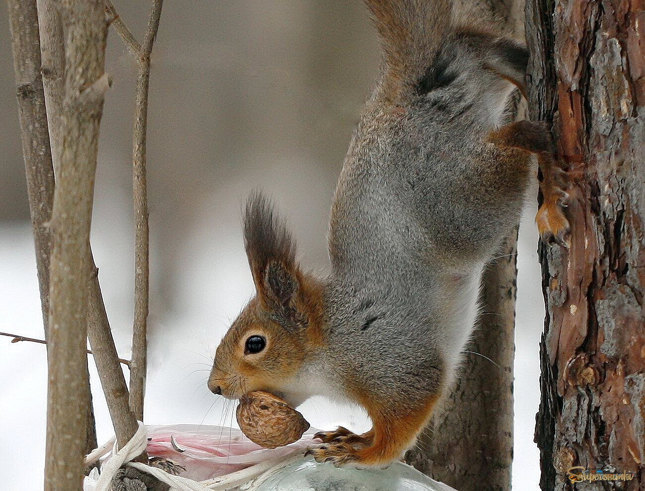 Так надежней!