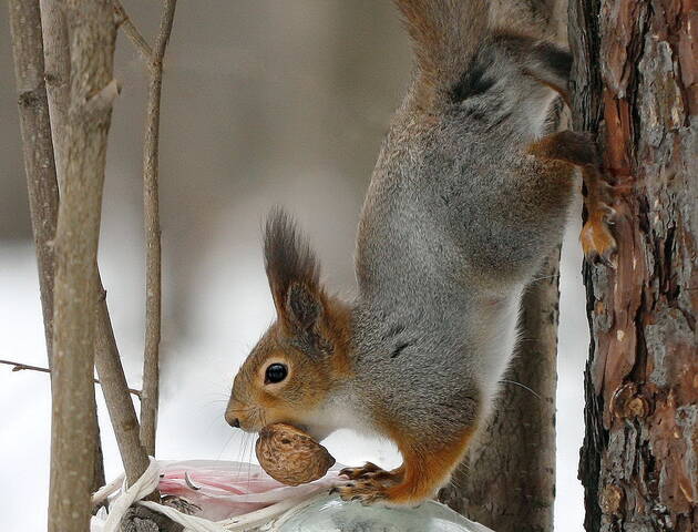 Так надежней!