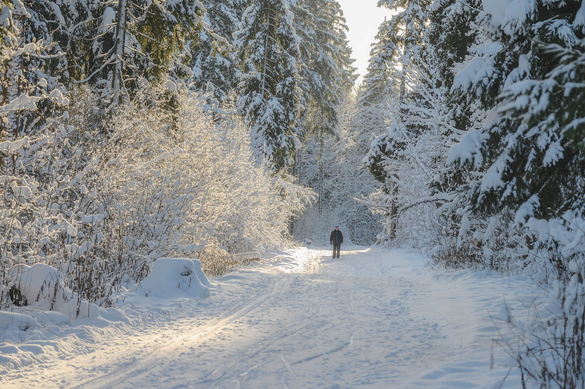 695d0d31478dabd912011ca6