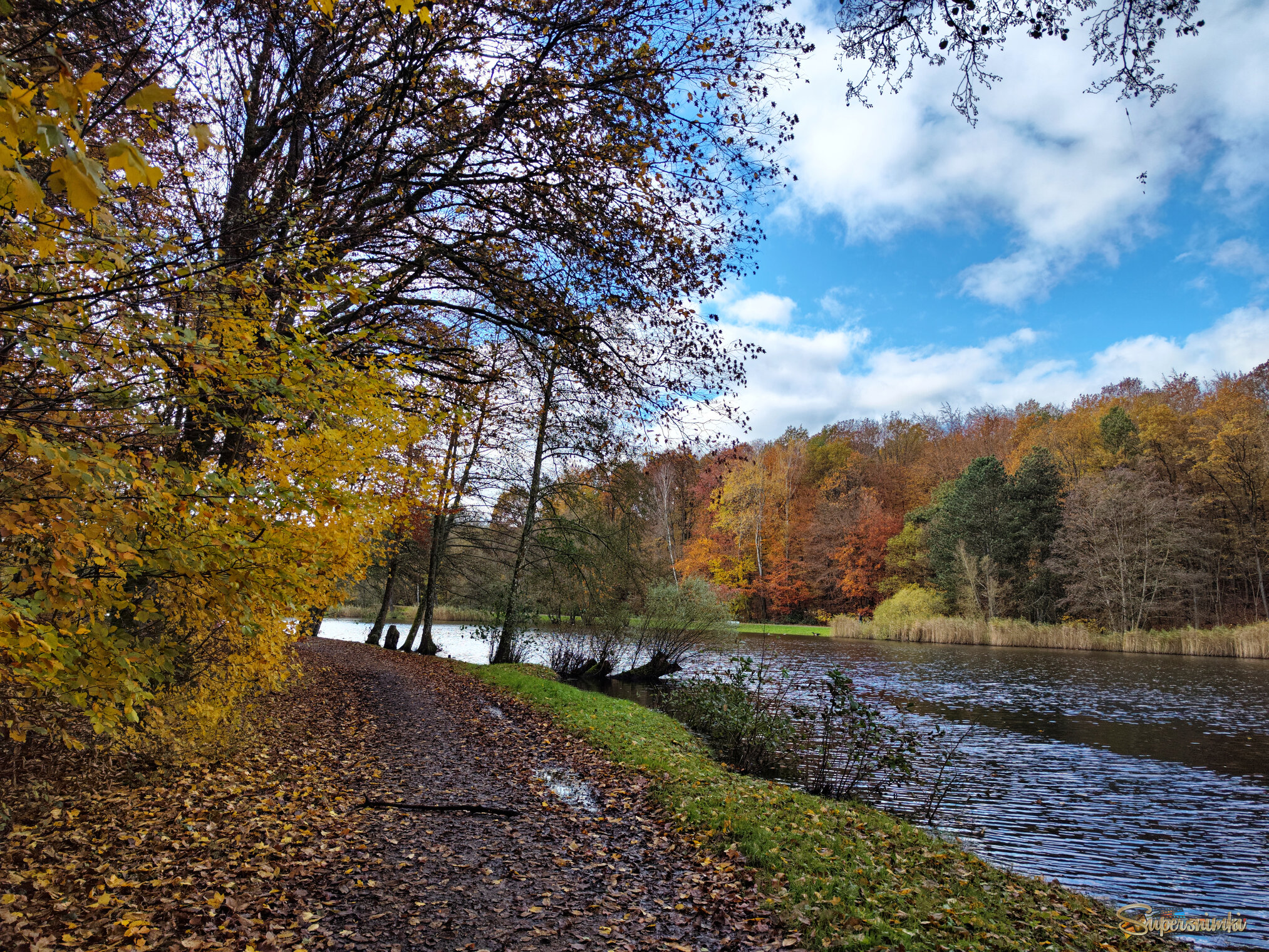 Озеро в лесу...