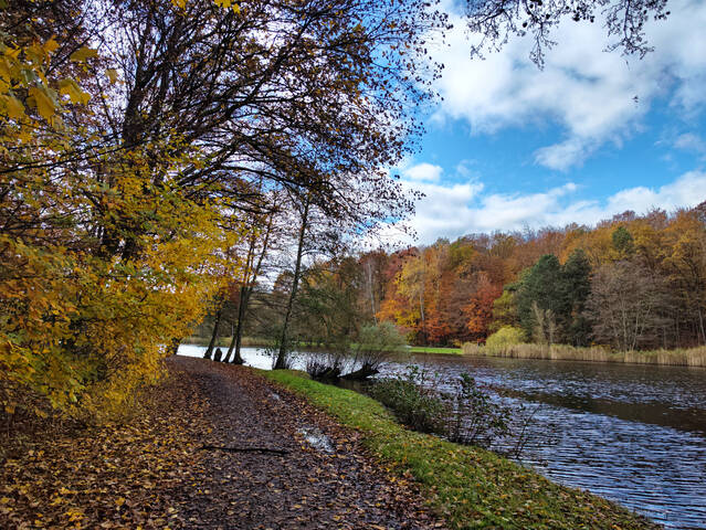 Озеро в лесу...