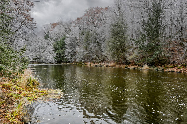 Бежит в лесу ручей