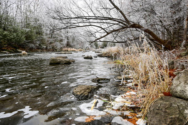 Бежит в лесу ручей