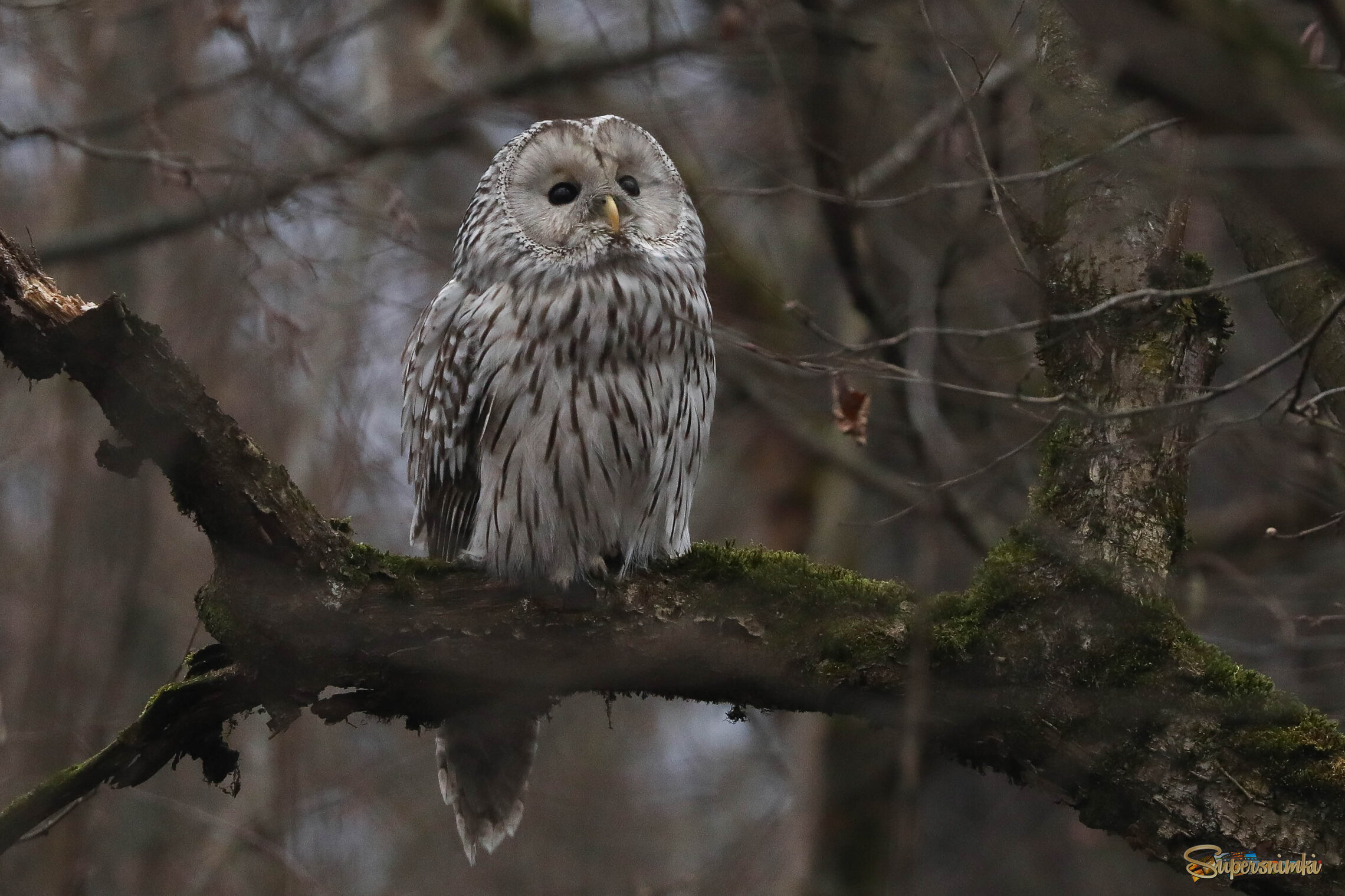 Грустно мне!