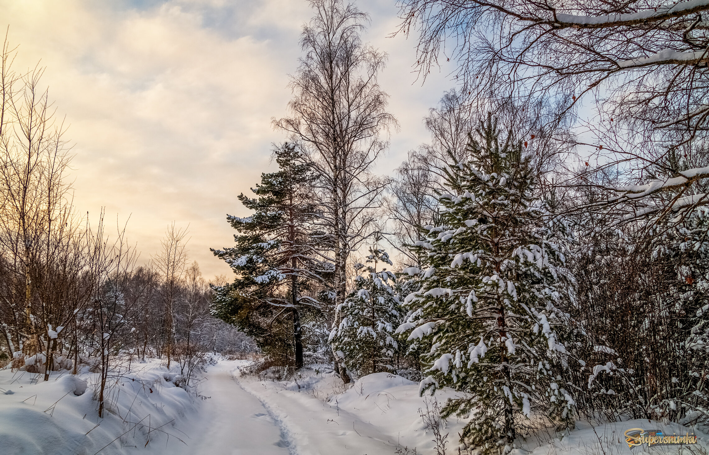 Первые дни нового года 6 