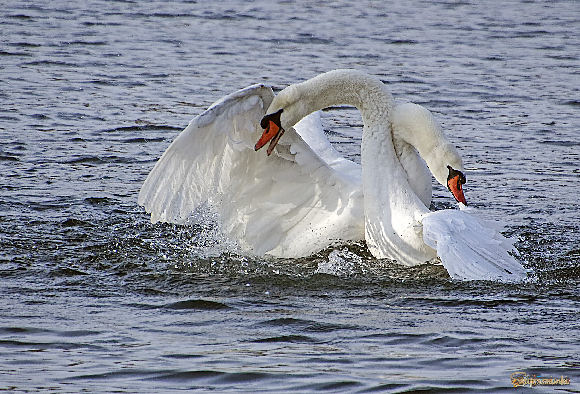 Слились воедино