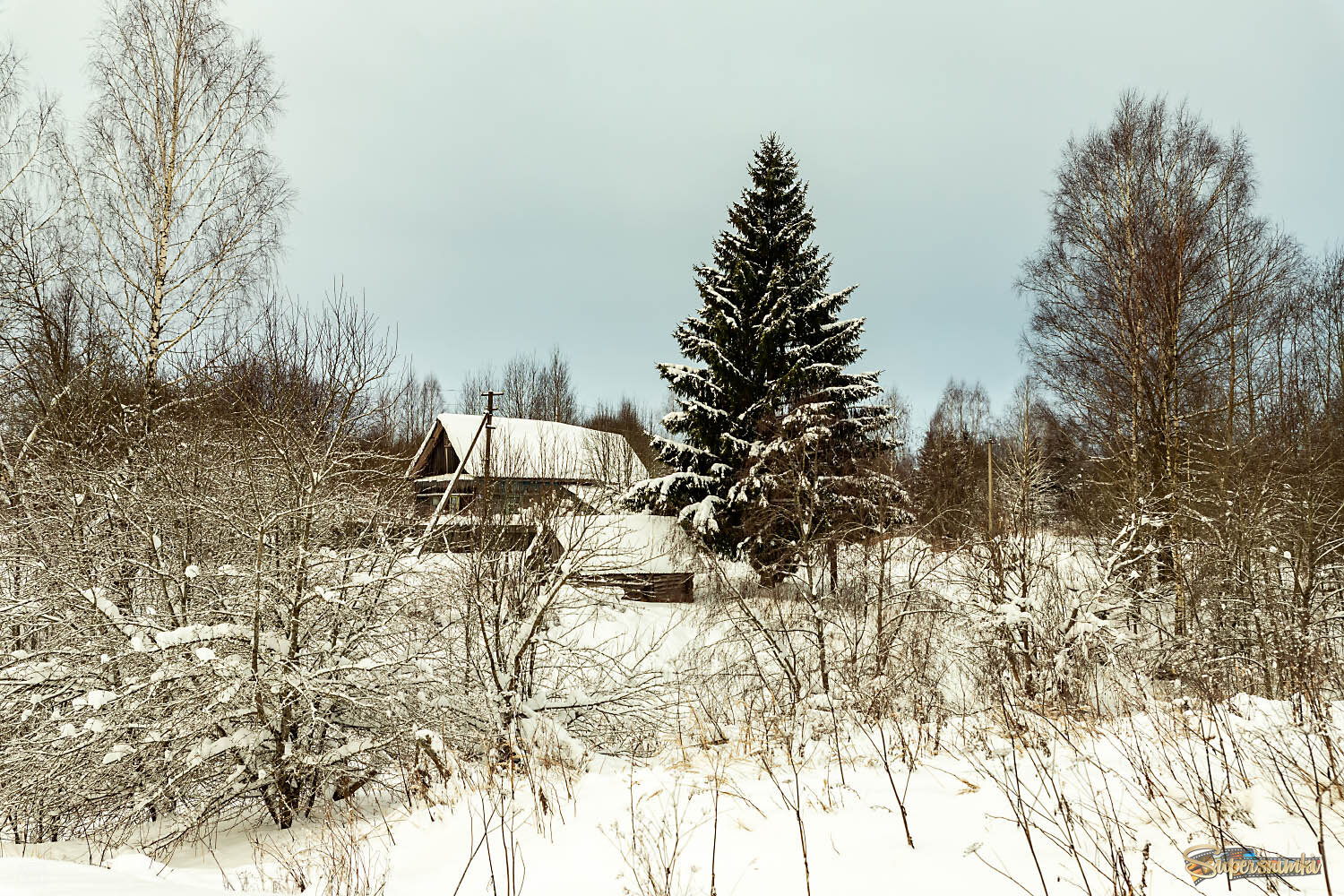 Зима вдеревне