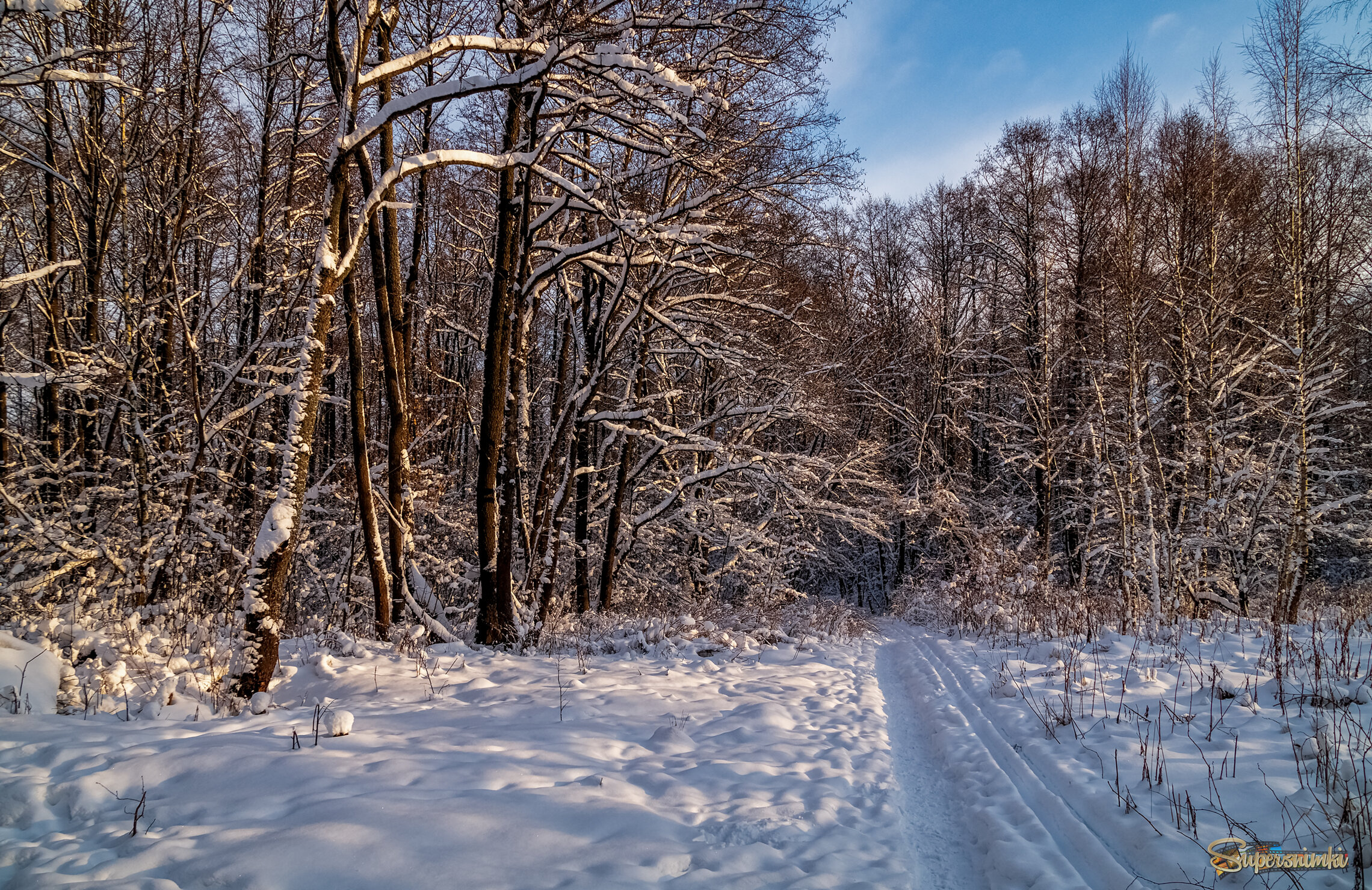 Первые дни нового года 10