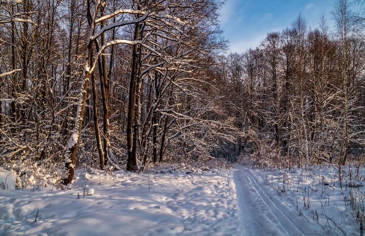 Первые дни нового года 10