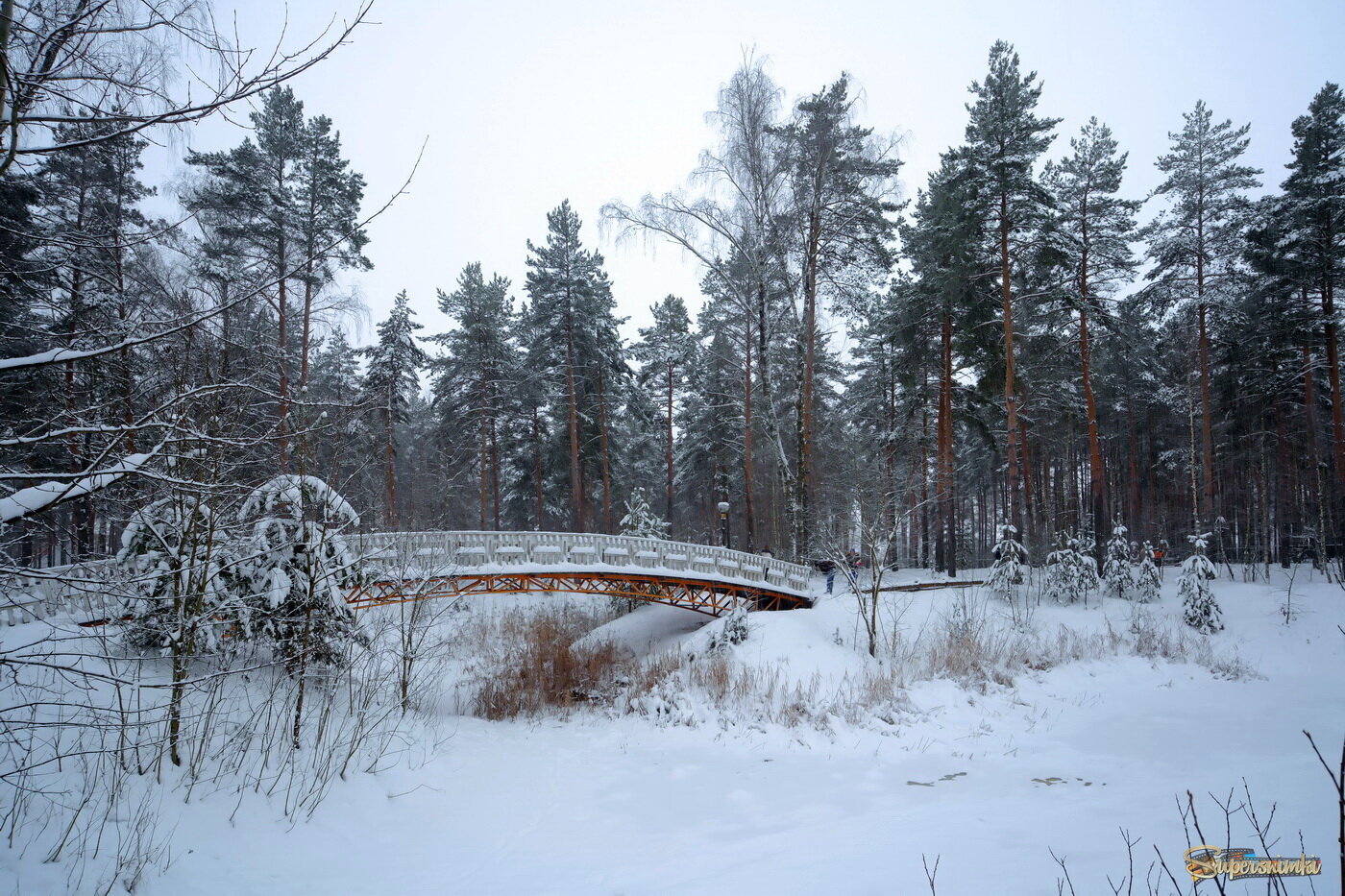 В некотором царстве